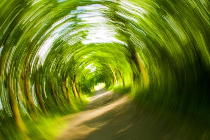 Obrázek uživatele kalhh z Pixabay.com
