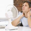 Jak lépe snášet horko i s pomocí bylin