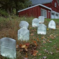 graveyard-1011mld104470-vert.jpg