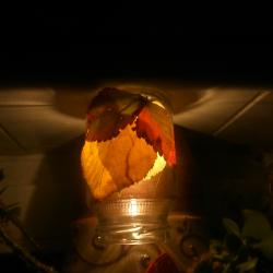 DSC_0546.JPG