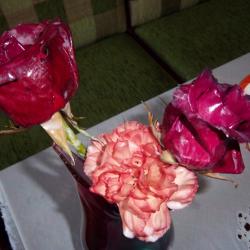 100_2582.JPG