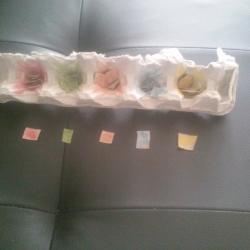 20161104_104350.jpg