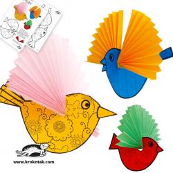 birds1.jpg