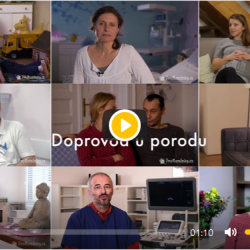 Videoprůvodce