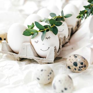 Veselé Velikonoce! 🐣