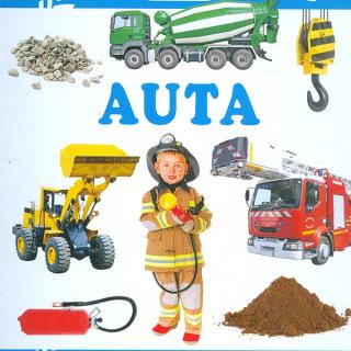 dp auta.jpg