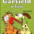 Garfield u lizu