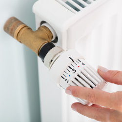 5a7c5addd76d2obrazek.png
