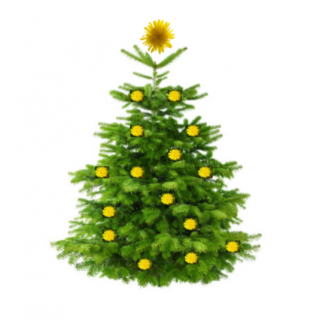 chrome_2019-11-18_09-10-41.png