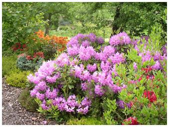 galerie-arboretum.jpg