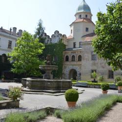 častolovice.jpg