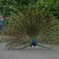 Zoo Ostrava