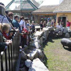 Návštěvníci_hrošík liberijský_1.5.2011 b.jpg